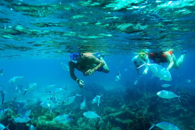 Catamaran Booze Cruise And Snorkeling Punta Cana - Adults Only - Quick facts about the Punta Cana catamaran cruise