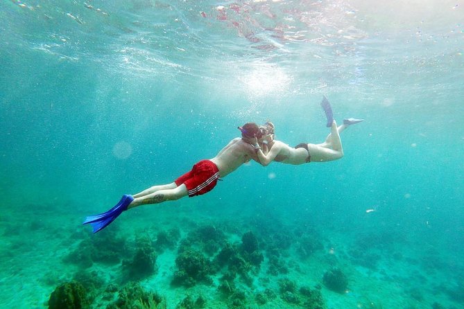 Catamaran Cruise Full Day Tour to Reef, Caves and Negril Beach - The catamaran cruise, music, and open bar