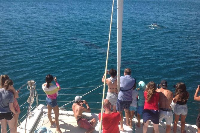 Catamaran Cruise in Lagos - Camilo Beach and the famous golden cliffs