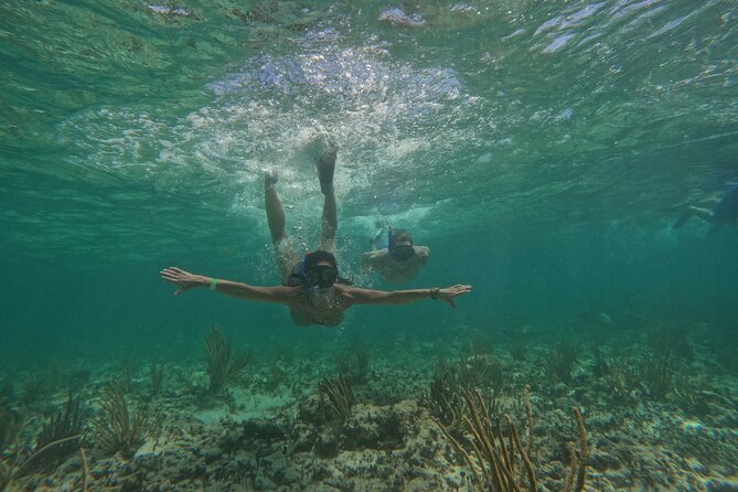 Catamaran Cruise in Riviera Maya With Snorkeling & Beach Club - Who will enjoy this catamaran trip