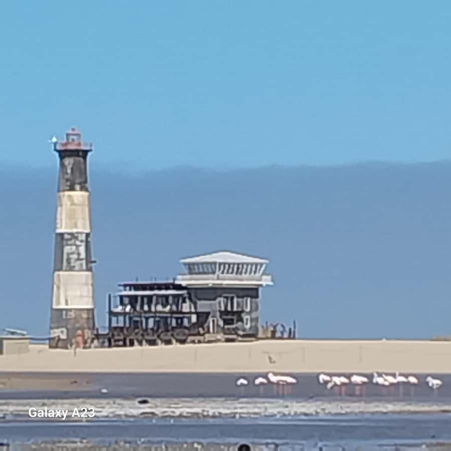 Catamaran Dolphin Cruise and Sandwich Harbour Tour - Oysters, sparkling wine, and a proper pause at sea