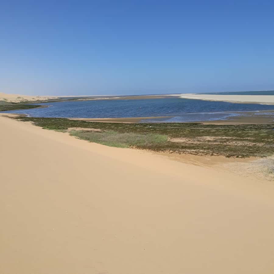 Catamaran Dolphin Cruise and Sandwich Harbour Tour - Wildlife in a place that looks empty