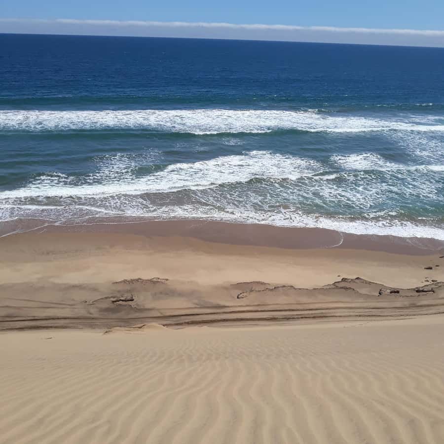 Catamaran Dolphin Cruise and Sandwich Harbour Tour - Practical advice for a smoother day