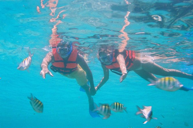 Catamaran Isla Mujeres Tour with Hotel Pick Up included - Setting sail from Marina Aquatours in Cancun