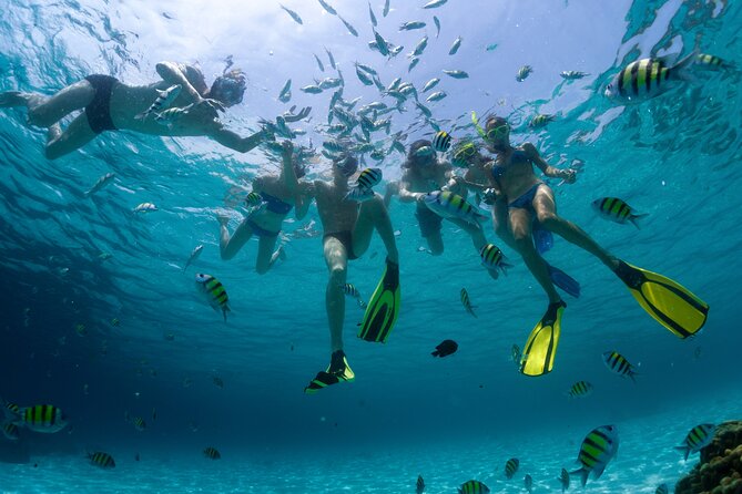 Catamaran Isla Mujeres Tour with Hotel Pick Up included - Lunch and drinks at the Isla Mujeres beach club