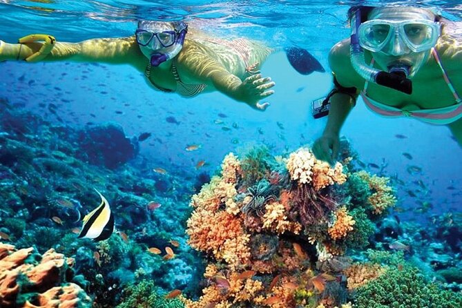 Catamaran Sailing to Isla Mujeres with Snorkeling, Lunch & Open Bar included - Timing, group size, and who will enjoy it