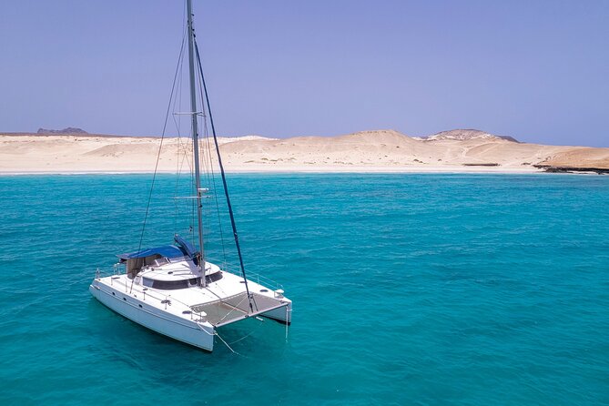 Catamaran Sailing Tour or Whale Watching at Boa Vista - What to bring and how to prepare