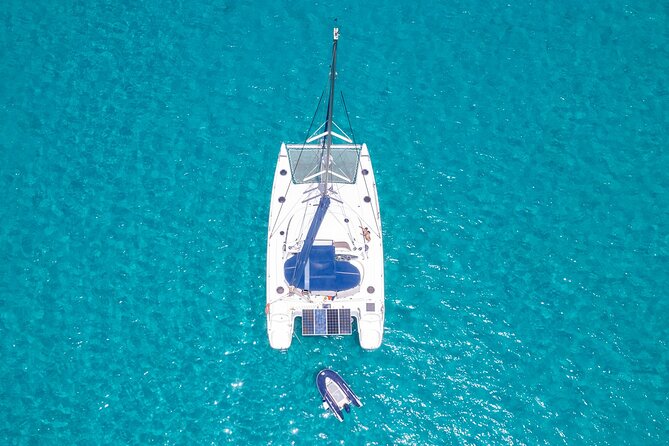 Catamaran Sailing Tour or Whale Watching at Boa Vista - Who will enjoy this outing most