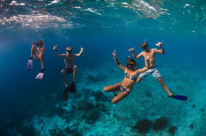 Catamaran Snorkel & BBQ Sail (cruise friendly) - Lunch Fresh from the Onboard Grill