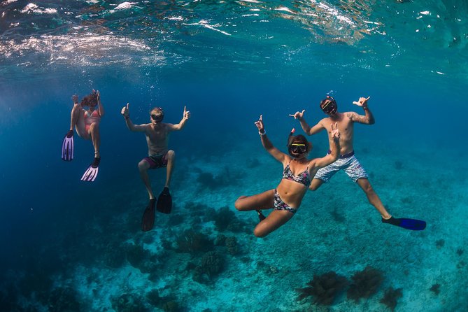 Catamaran Snorkel & BBQ Sail (cruise friendly) - Practical Details Before You Book