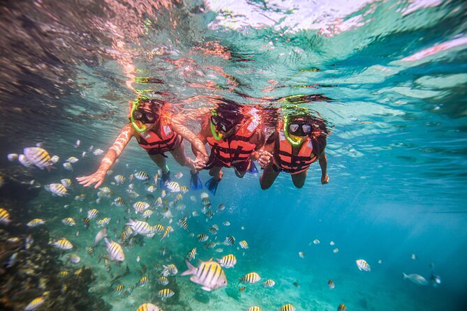CATAMARAN to Isla Mujeres, Snorkel & Beach Club by Xcaret - El Meco reef, with shallow water and MUSA statues