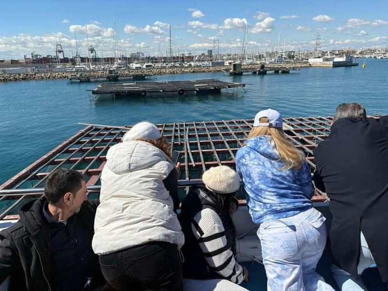 Catamaran trip and visit to the mussel nurseries with a snack - Key points to know before you board