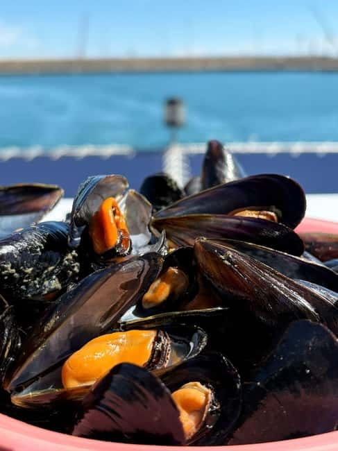 Catamaran trip and visit to the mussel nurseries with a snack - What this Valencia catamaran trip really offers