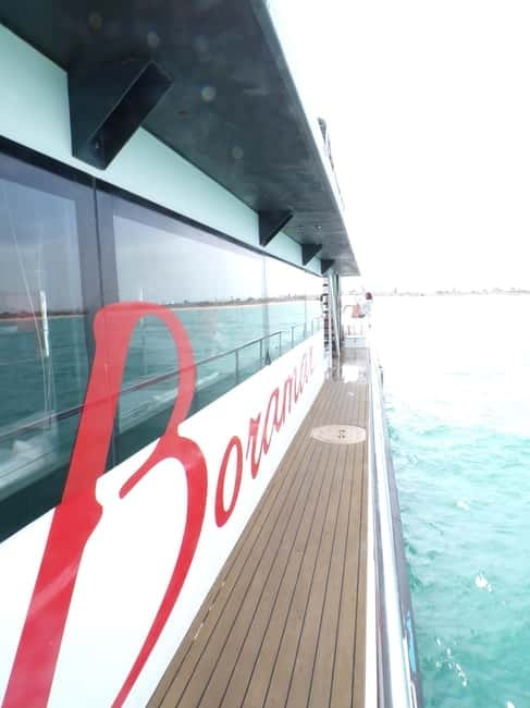 Catamaran trip and visit to the mussel nurseries with a snack - Tasting mussels with Valencian white wine