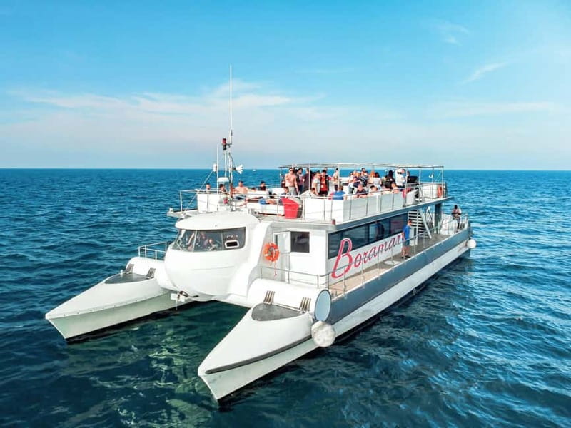 Catamaran trip and visit to the mussel nurseries with a snack - Guide quality, music, and the atmosphere on board