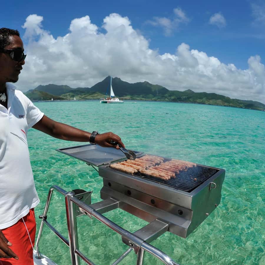 Catamaran trip to Ile Aux Cerfs With Two Way Transportation - The waterfall stop adds a welcome change of pace