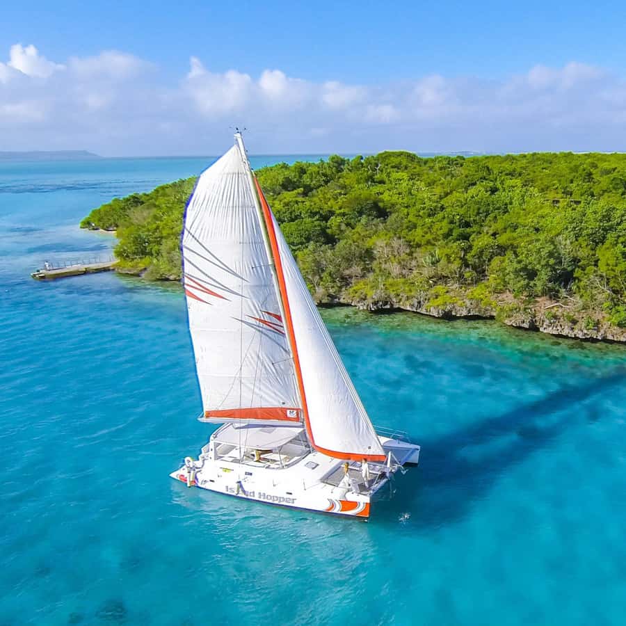 Catamaran trip to Ile Aux Cerfs With Two Way Transportation - Barbecue lunch, breakfast, and the food question