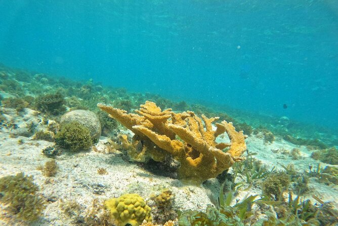 Catamaran with Snorkeling and North Beach, Isla Mujeres - Is the $49 fare good value?