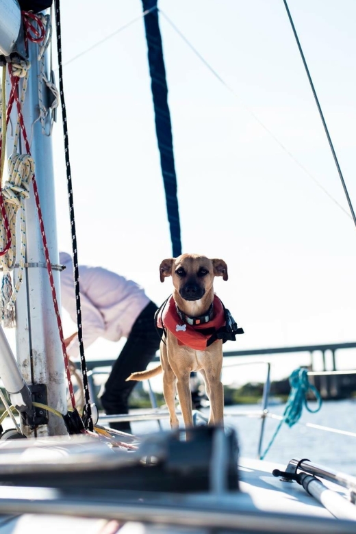 Charleston: Private BYOB Luxury Yacht Cruise - Why a private Charleston harbor cruise feels different