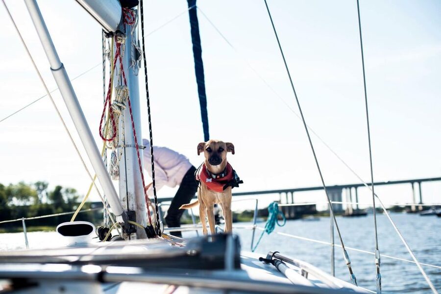 Charleston: Private BYOB Luxury Yacht Cruise - What the crew adds to the outing