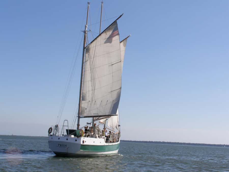 Charleston: Schooner Sailing Harbor Tour & Dolphin Watch - Setting sail from Aquarium Wharf