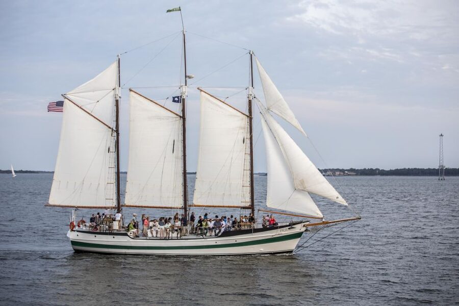 Charleston: Schooner Sailing Harbor Tour & Dolphin Watch - Dolphin watching without false promises