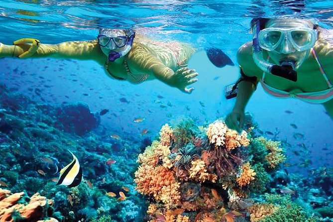 Chichen Itza Early Access & Catamaran to Isla Mujeres - Two hours at Playa Norte