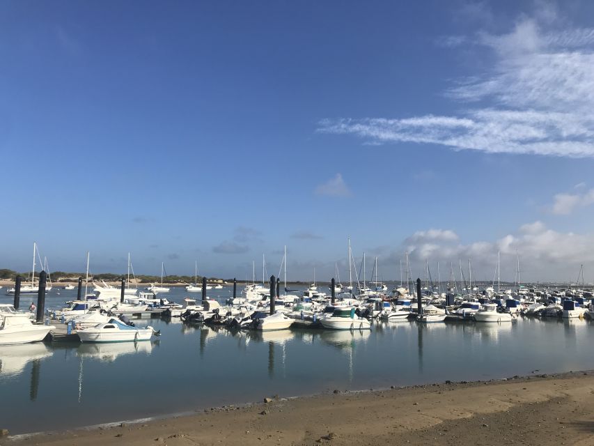 Chiclana de la Fra: Coast of Sancti Petri Catamaran Tour - Choosing between the short and long cruise