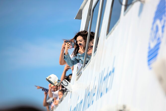 City Cruises Boston Whale Watching Cruise by High-Speed Boat - Weather, wind, and motion sickness
