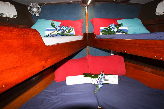 Coral Sea Dreaming Overnight Dive, Snorkel and Sail - Who will enjoy Coral Sea Dreaming most