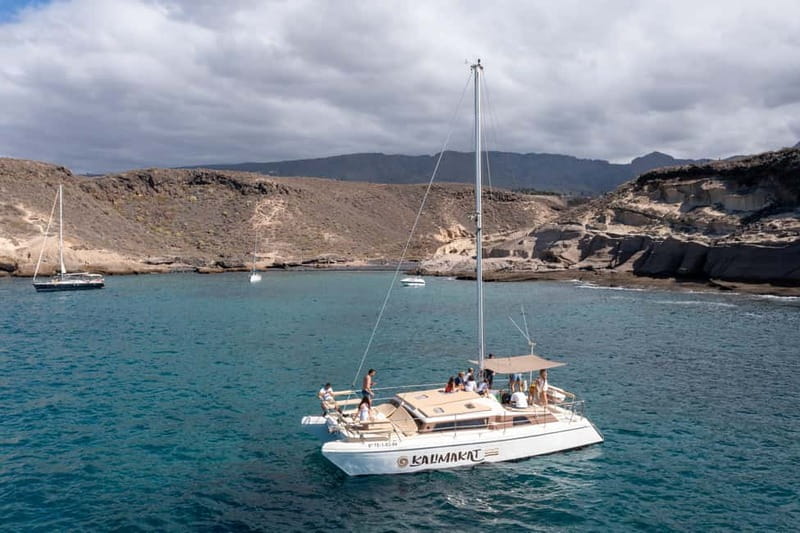 Costa Adeje: Catamaran Tour, Snorkelling, Snacks & Drinks - Watching for dolphins, turtles, and whales