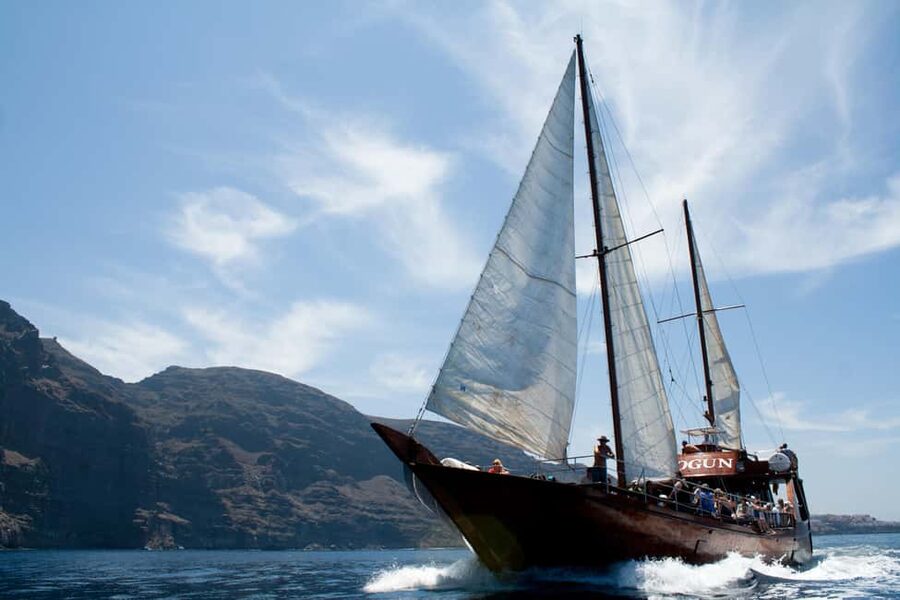 Costa Adeje: Respectful Whale-Watching Sailboat Tour & swim - Key points before you book