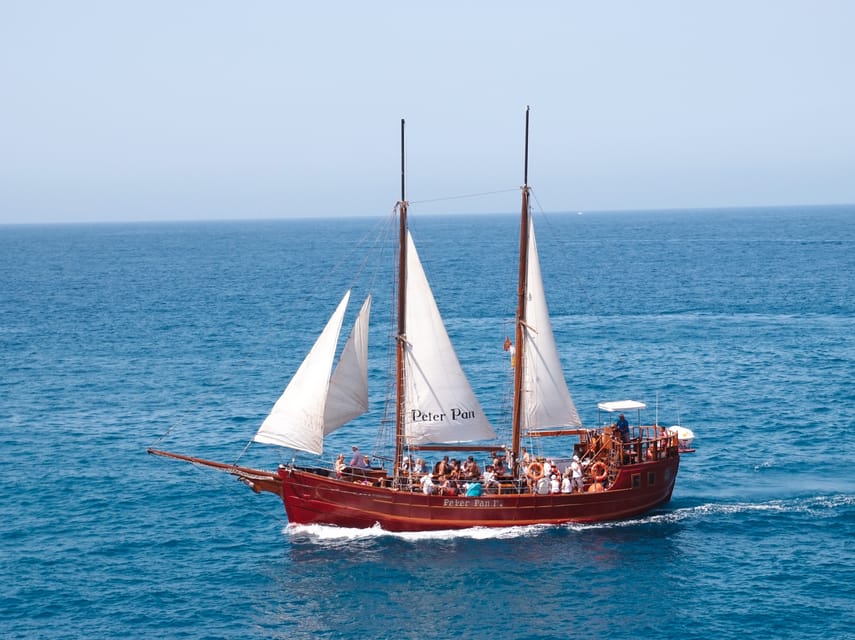 Costa Adeje: Respectful Whale-Watching Sailboat Tour & swim - Setting out from Puerto Colón on the Shogun