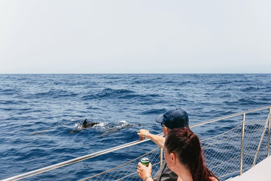 Costa Adeje: Whale Watching Catamaran Tour with Drinks - Puerto Colón to the whale grounds