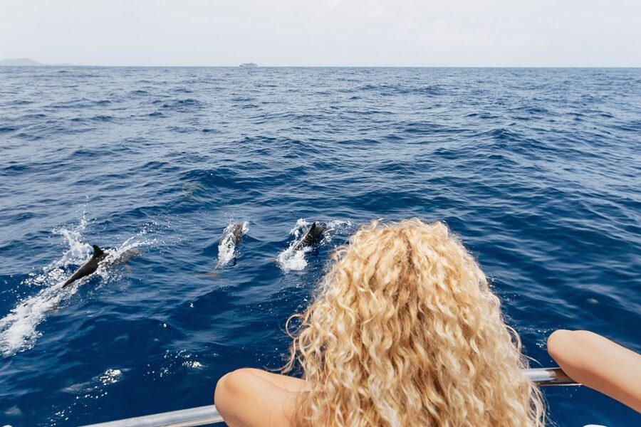 Costa Adeje: Whale Watching Catamaran Tour with Drinks - Drinks, sandwiches, music, and the feel onboard