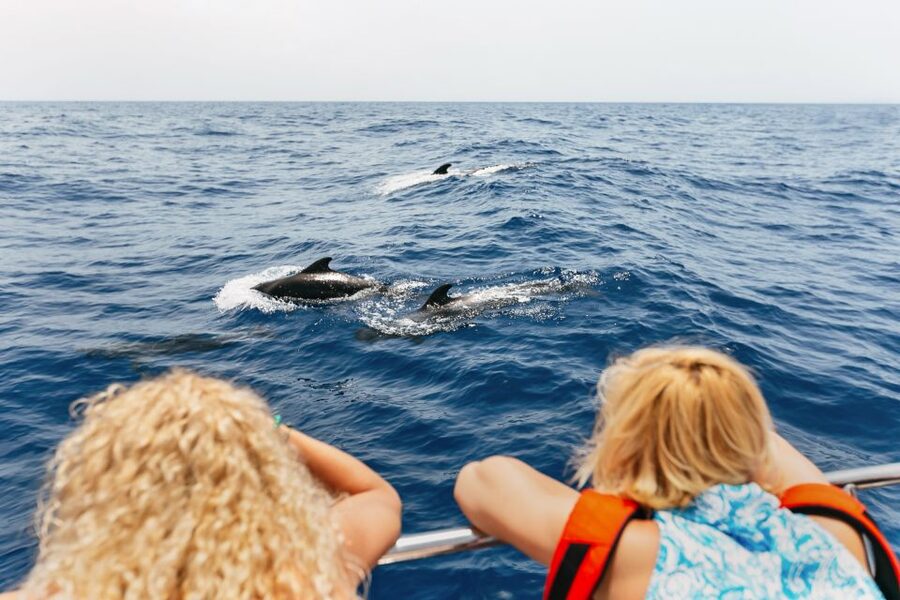 Costa Adeje: Whale Watching Catamaran Tour with Drinks - Watching pilot whales in their natural habitat