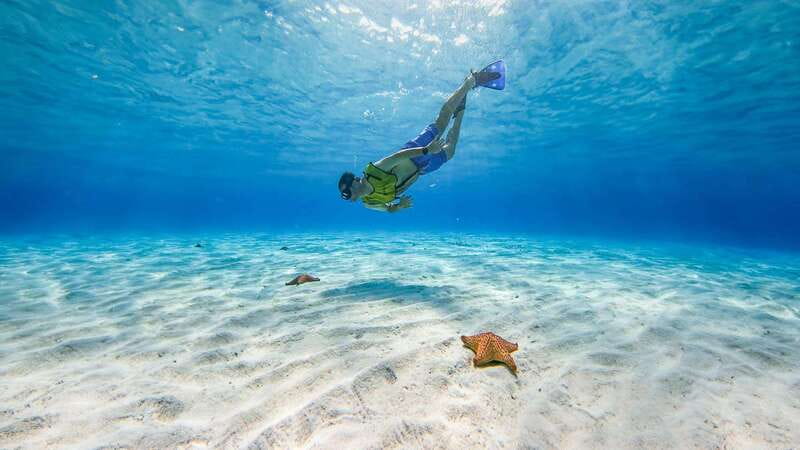 Cozumel: Catamaran, El Cielo Bay & Palancar Reef with Lunch - The highlights that shape the day