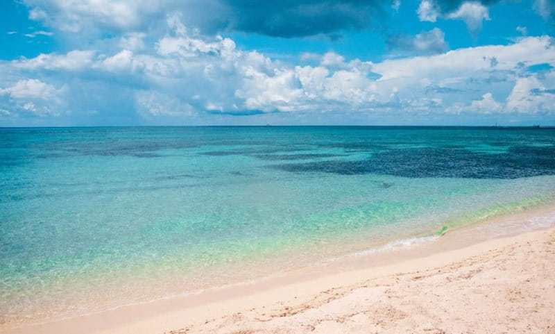 Cozumel: Catamaran, El Cielo Bay & Palancar Reef with Lunch - El Cielo Bay, starfish, and calm shallow water