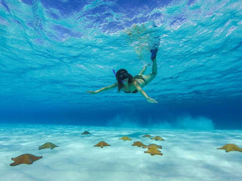 Cozumel: Catamaran, El Cielo Bay & Palancar Reef with Lunch - Yucatecan food, an open bar, and a local show
