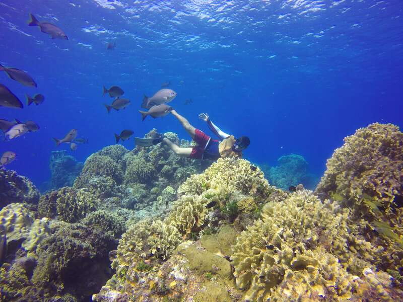 Cozumel: Catamaran, El Cielo Bay & Palancar Reef with Lunch - How the timing affects your value