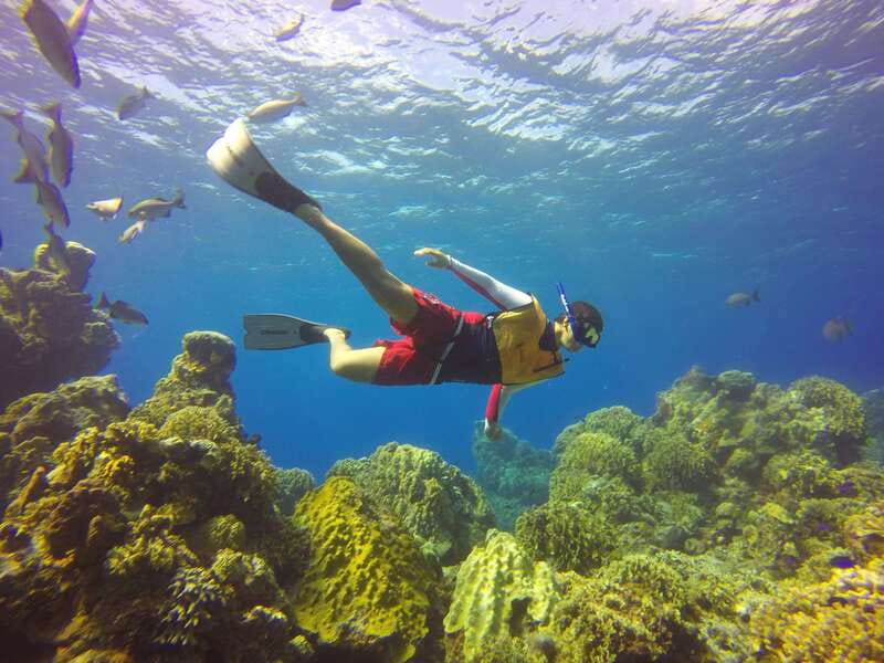 Cozumel: Catamaran, El Cielo Bay & Palancar Reef with Lunch - From Avenida Rafael E. Melgar to the southern coast