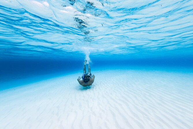 Cozumel Catamaran Snorkeling Tour & lunch - Palancar Reef and the Reality of Group Snorkeling