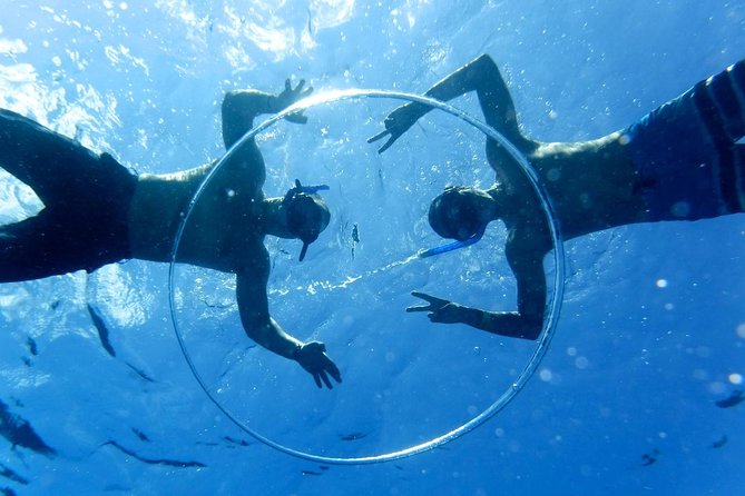 Cozumel Catamaran Snorkeling Tour & lunch - Lunch, Entertainment, and Time on the Beach