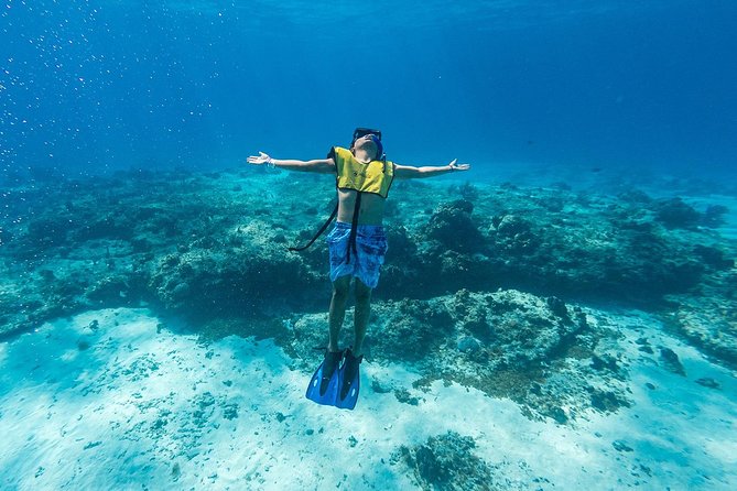 Cozumel Catamaran Snorkeling Tour & Lunch (Hotel Pick Up) - The long road from Cancun to Cozumel