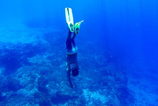 Cozumel Catamaran Snorkeling Tour & Lunch (Hotel Pick Up) - Lunch, regional dishes, and drinks after the water