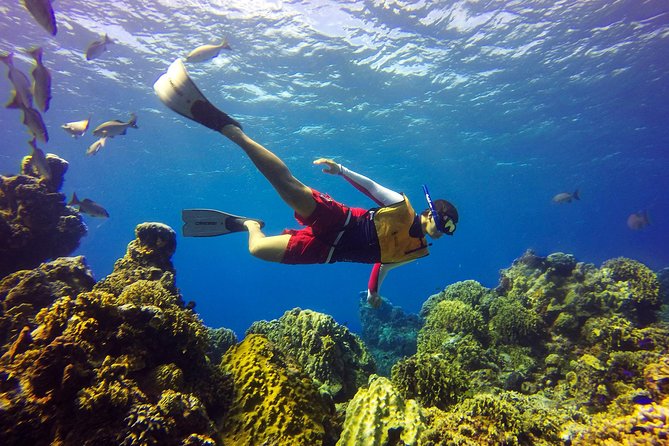 Cozumel Catamaran Snorkeling Tour & Lunch (Hotel Pick Up) - Is $163 a fair price?