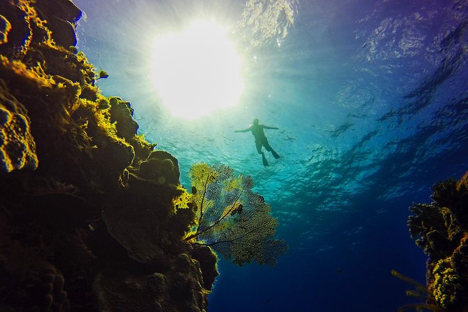 Cozumel Catamaran Snorkeling Tour & Lunch (Hotel Pick Up) - Fitness rules and who should skip it