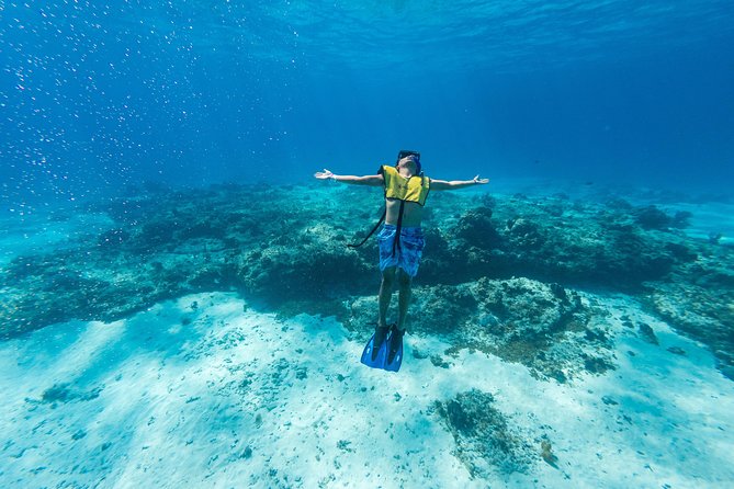 Cozumel Catamaran Snorkeling Tour & lunch - El Cielo Bay, Starfish, and Weather Limits