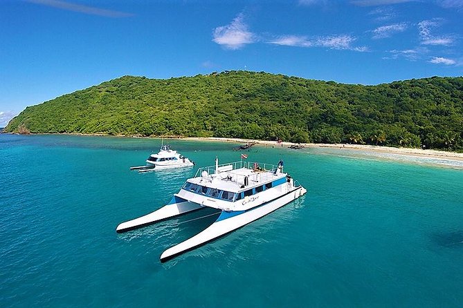 Culebra Snorkeling Tour by Catamaran from Fajardo - Who should book this Culebra trip?