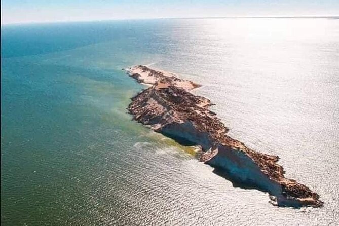 Dakhla Catamaran Tour - Practical advice before you go